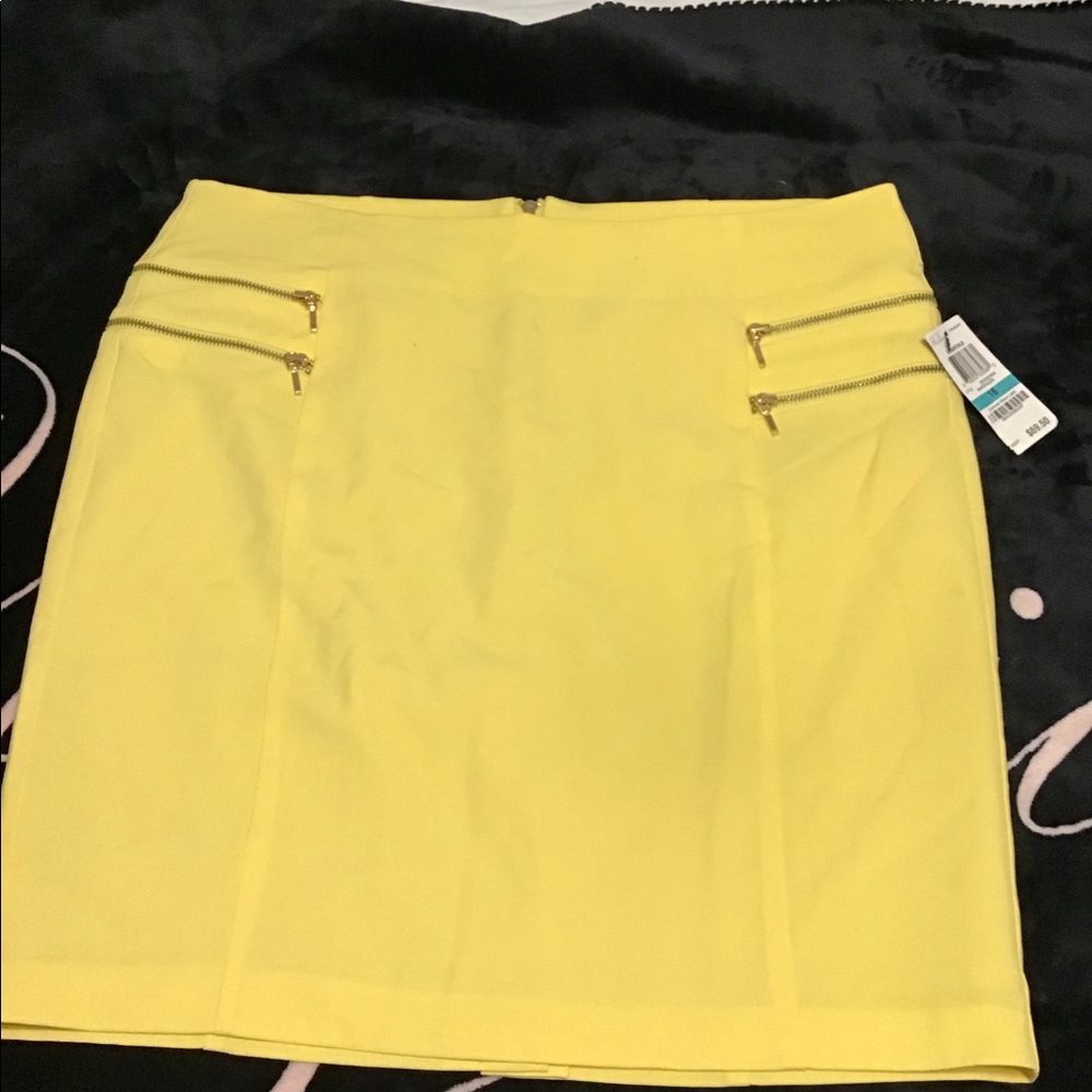 NWT skirt fully lined